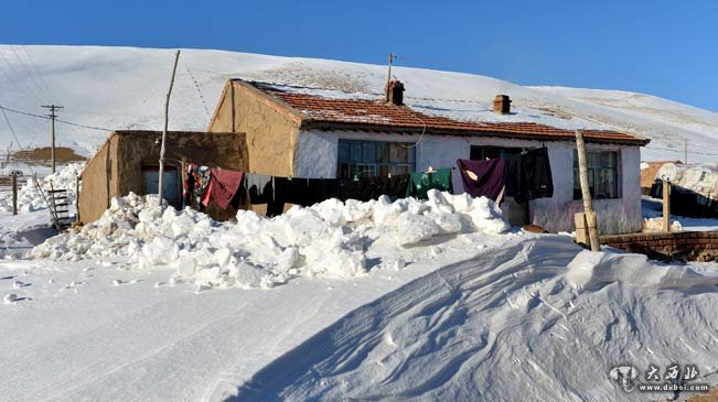 内蒙古锡林郭勒盟部分地区遭遇雪灾