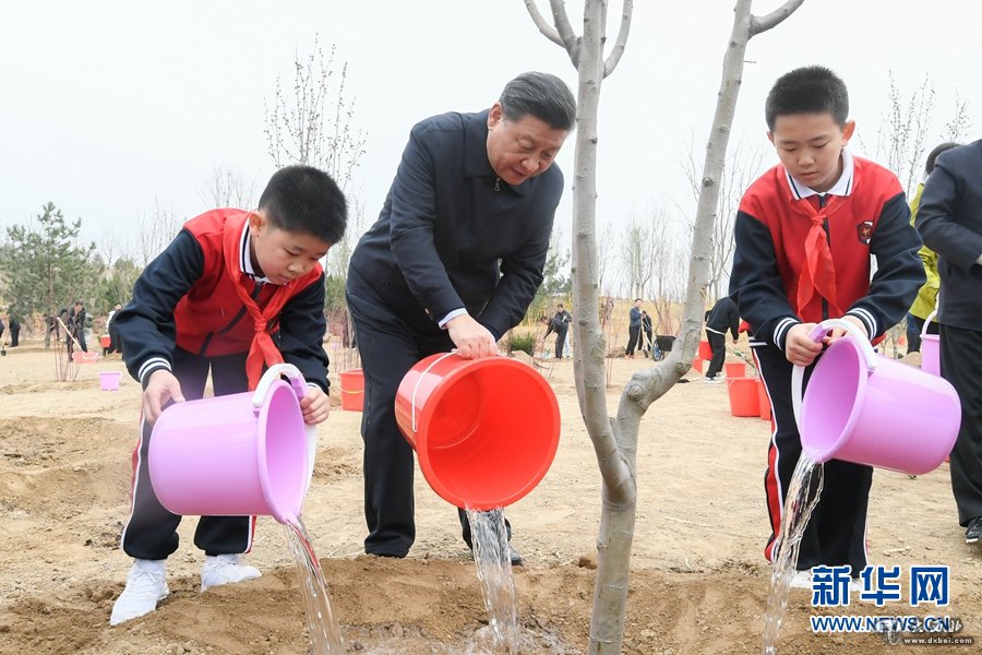 习近平参加首都义务植