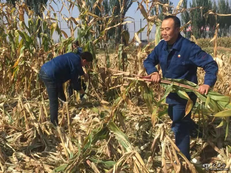 兰州石化景泰农场农场